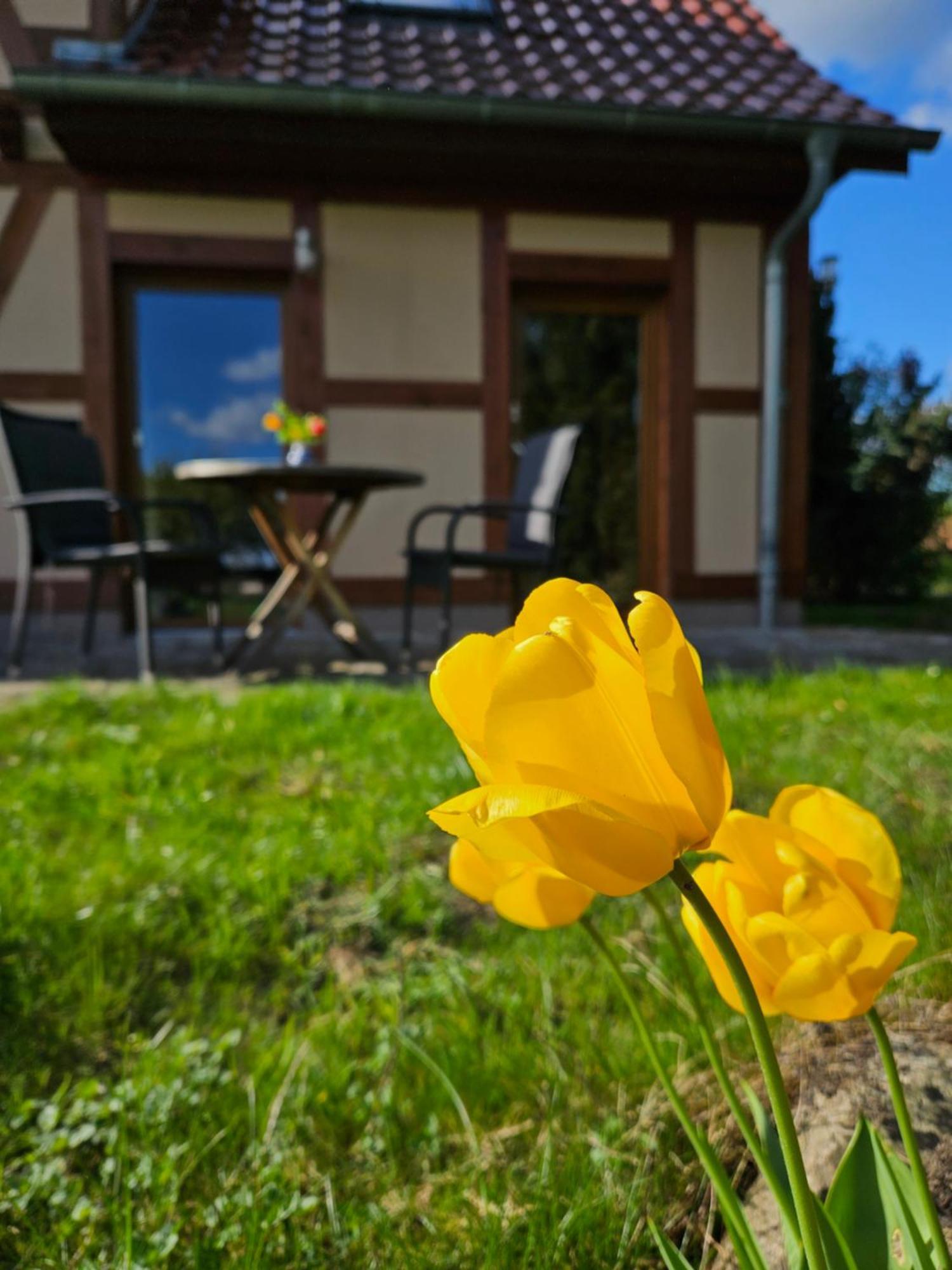 Ferienwohnung Peetsch Am See 미로우 외부 사진